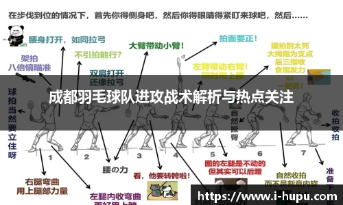 成都羽毛球队进攻战术解析与热点关注